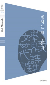 빙하는 왜 푸른가 (문학세계현대시인선 213)